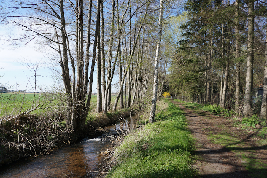 Am Hammerbach Naturpark Dübener Heide Am Hammerbach Naturpark Dübener Heide